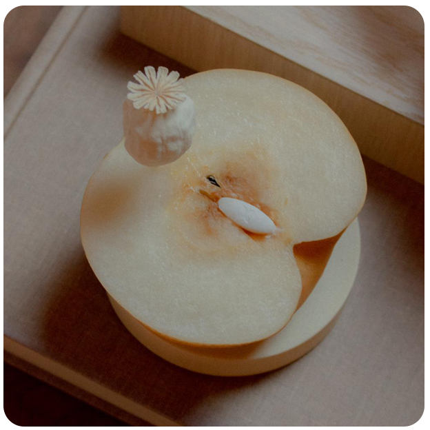 A sliced half on an apple with a flower on it and a white oval Boquet suppository. A metaphor for the female genitals with a suppository in it.